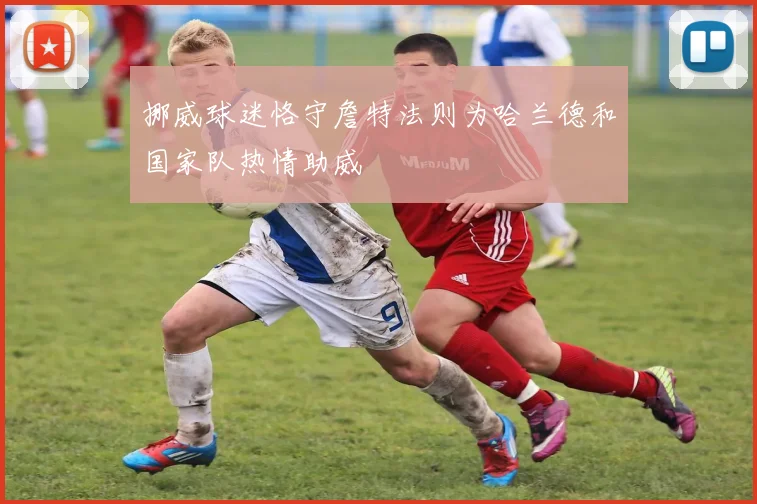 挪威球迷恪守詹特法则为哈兰德和国家队热情助威
