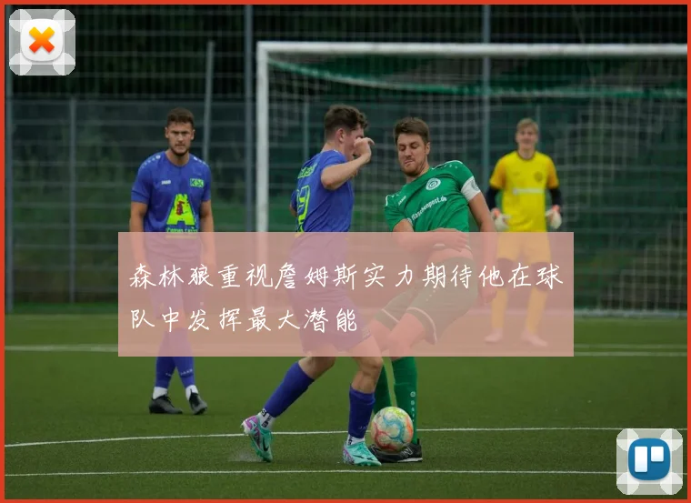 森林狼重视詹姆斯实力期待他在球队中发挥最大潜能